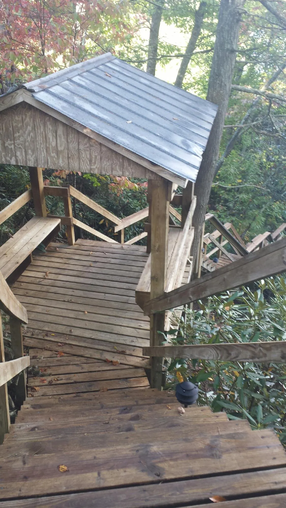 Metal roofed shelter over wooden steps on a wooded walkway — Skylight Repair & Installation work by our crew in Belleview